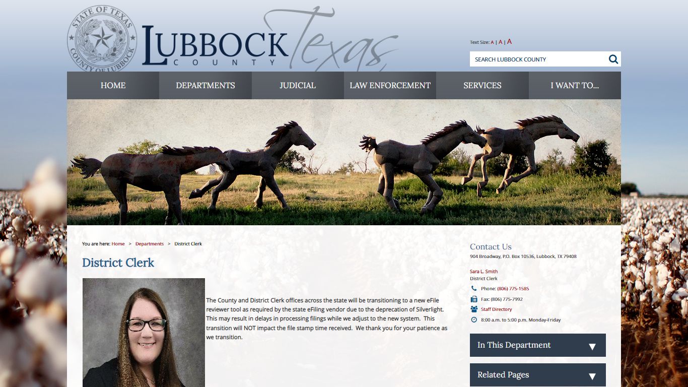 District Clerk / Lubbock County, Texas